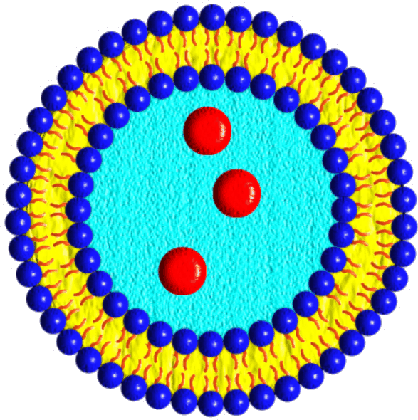 liposomes